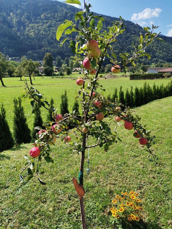 Apartment - Ferienwohnung 1 Treffen Am Ossiachersee Екстер'єр фото